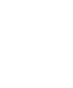 logo 一飞冲天300倍游戏(中国游)·官方网站