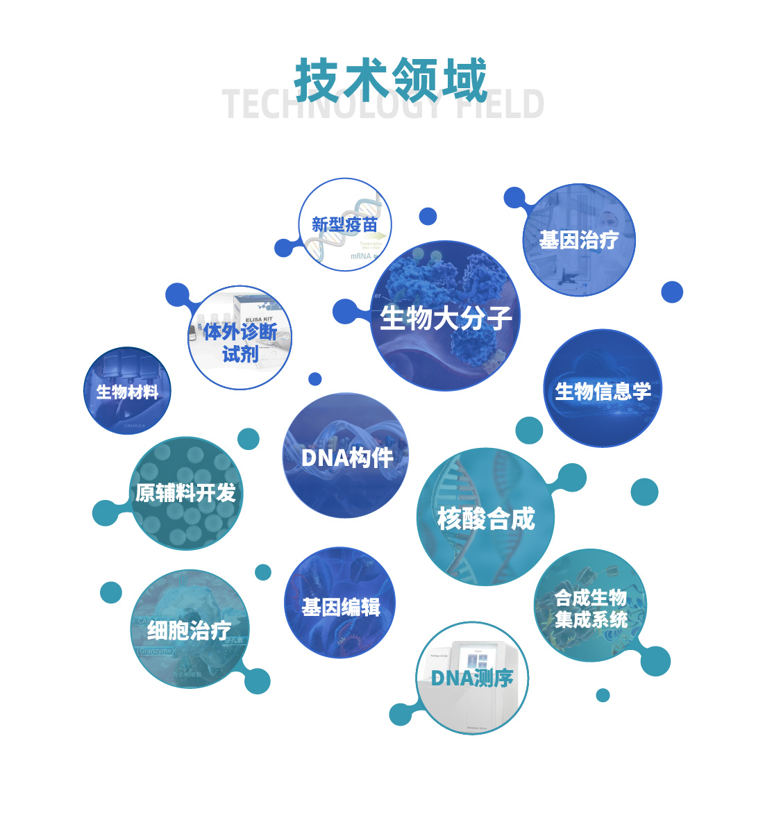 一飞冲天300倍游戏(中国游)·官方网站